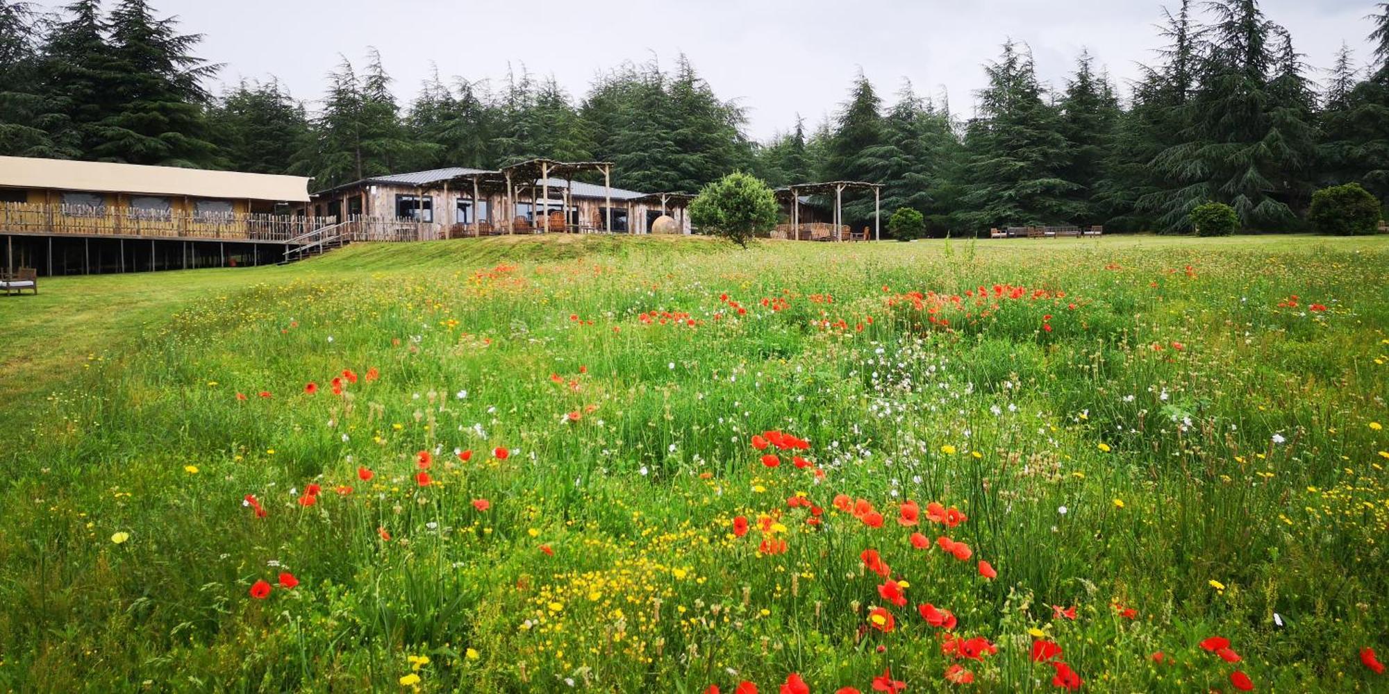 Domaine De La Vitarelle Glamping Villaniere Exterior foto